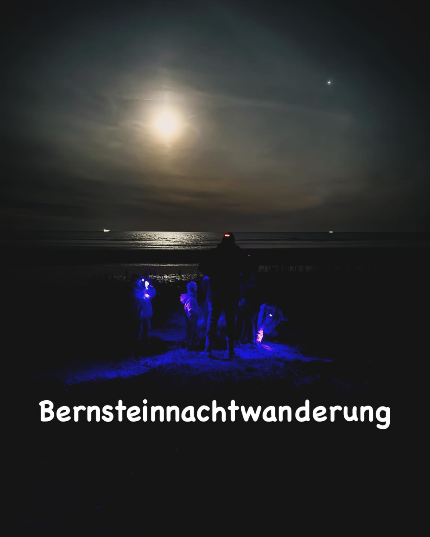 Ab dem 14.10.24 können die #bernsteintour wieder gebucht werden https://kanuusedom.de/?page_id=242 #bernstein #bernsteinnachtwanderung #ostsee #usedom #strand #nachtwanderung