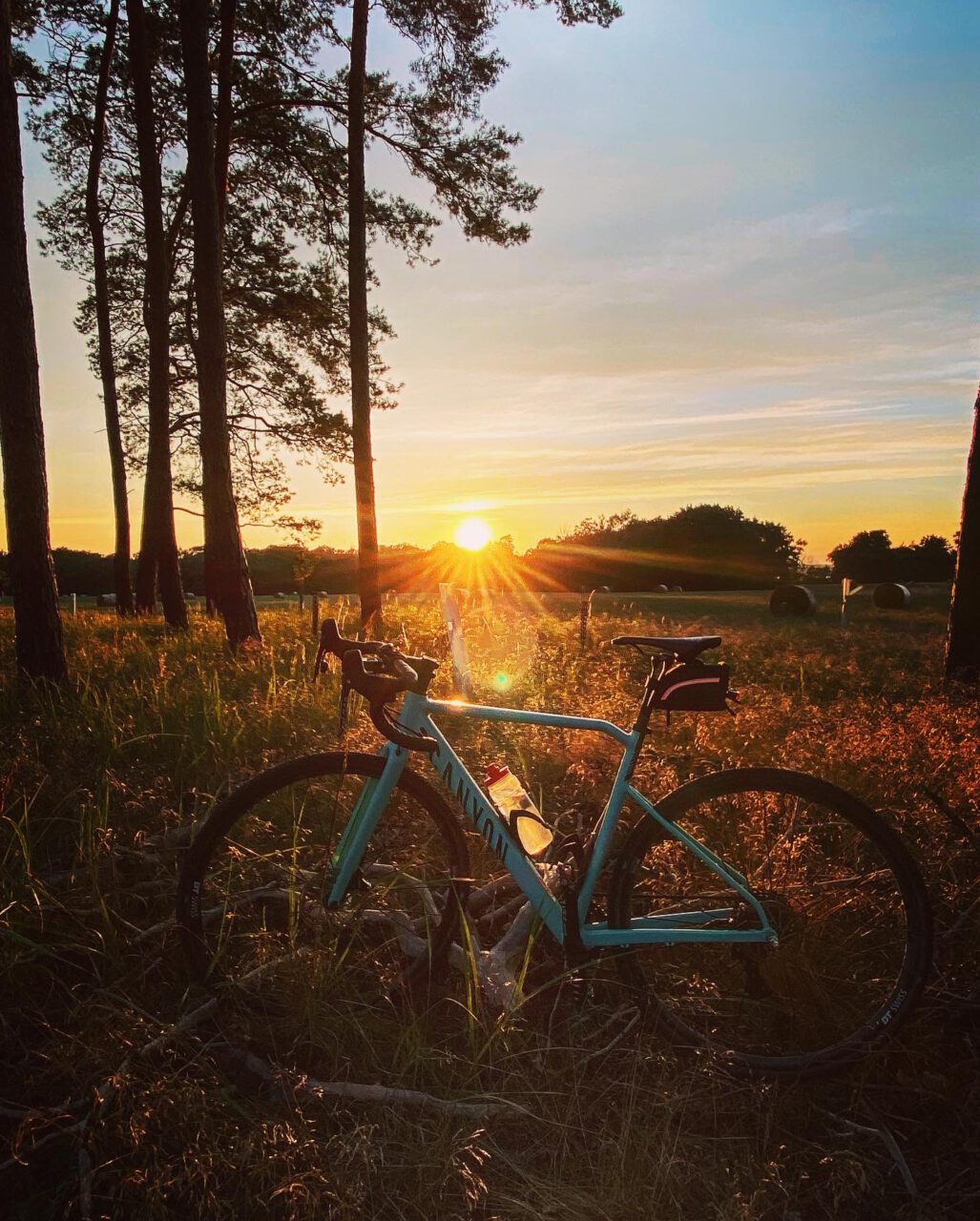 Usedom mit dem Fahrrad erkunden